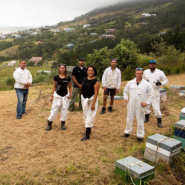 Northland iwi turns family pastime into multi-million dollar operation - Kai Ora Honey Limited, New Zealand